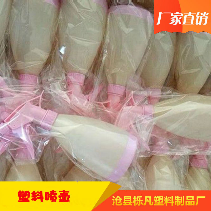 500毫升糖/小喷壶/彩色喷水壶5产品图