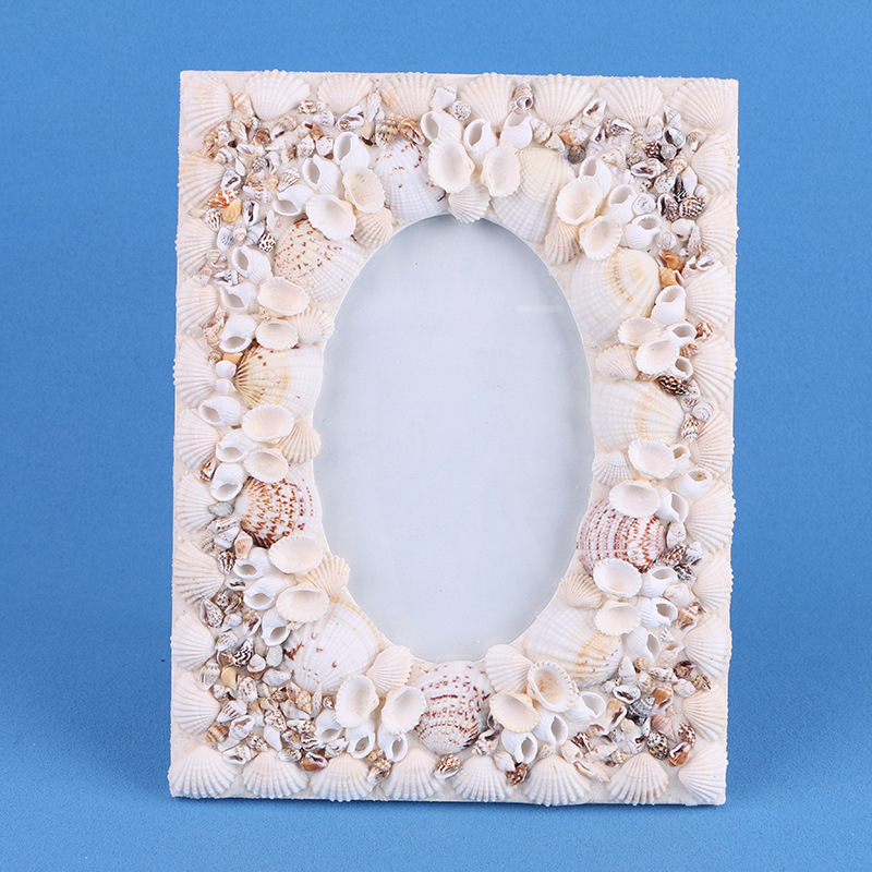 海螺/贝壳/珊瑚实物图
