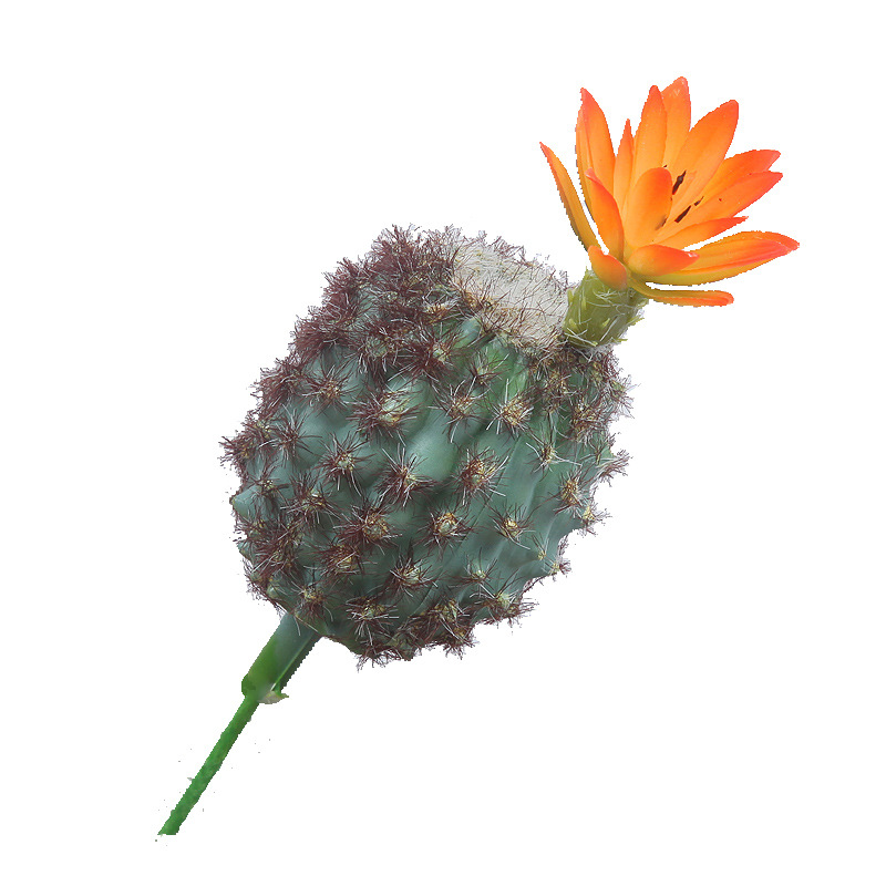 Supply Simulation Cactus Pot Plastic Simulation Cactus Bonsai Simulation Cactus Green Plant Decoration Customization Item Picture