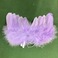 羽毛天使翅膀/羽毛饰品/翅膀产品图