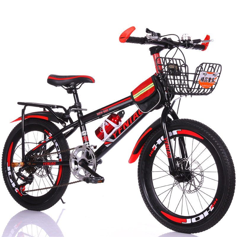 Kids Bike Double Disc Brake Mountain Bike 20/22 