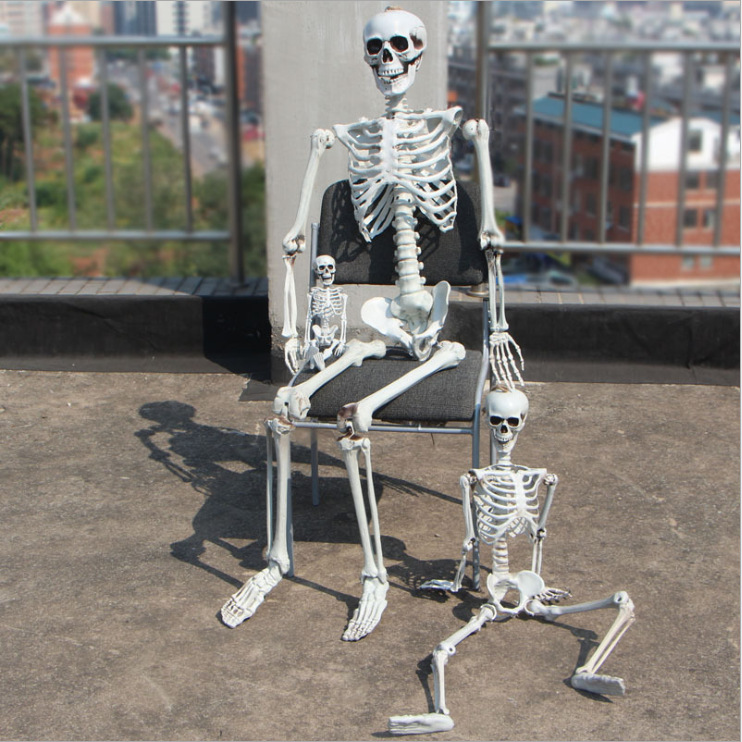 Skeleton Model Halloween Skeleton Simulation Human Bones Corpse Secret Room Escape Props Haunted House Horror Arrangement Application Scenario