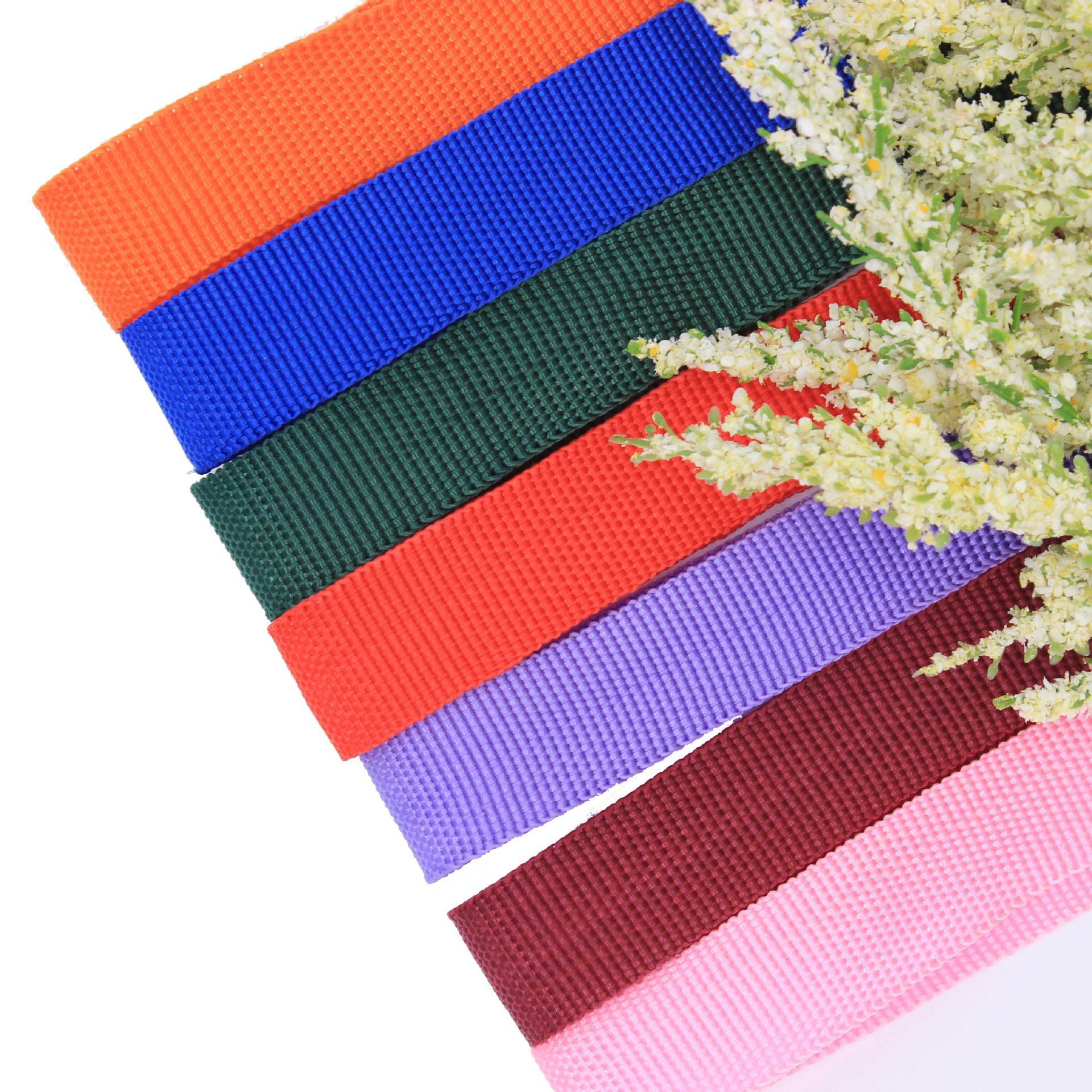 Custom Polypropylene Pp600d Bag Edge Webbed Bag Bag Bag Edge Strap Strap Factory Pet Leash Material Item Picture