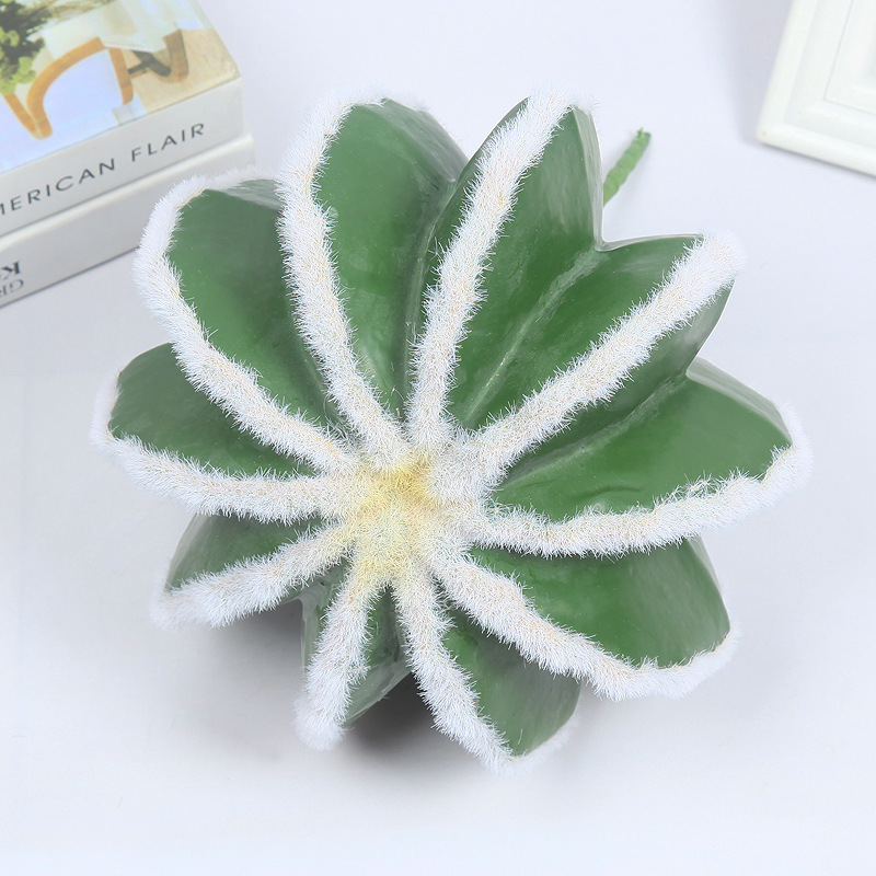 Supply Simulation Cactus Pot Plastic Simulation Cactus Bonsai Simulation Cactus Green Plant Decoration Customization Specification drawing
