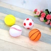 Xuan Ding Wang pet Dog toys, durable teething Teddy Golden Retriever puppies, puppies, vocal dog toys, ball supplies Application Scenario