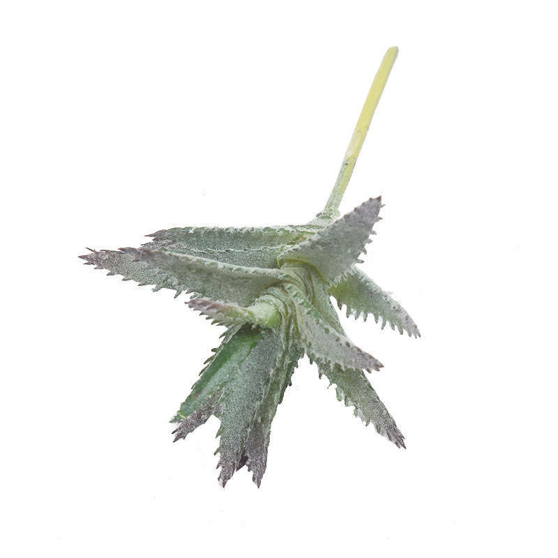 Small Fresh Simulation Plant Pot Decoration Pieces Succulent Fake Flower Bonsai Home Living Room Indoor Green Plant Decoration Item Picture