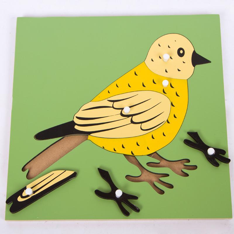 蒙特蒙台梭利细节图