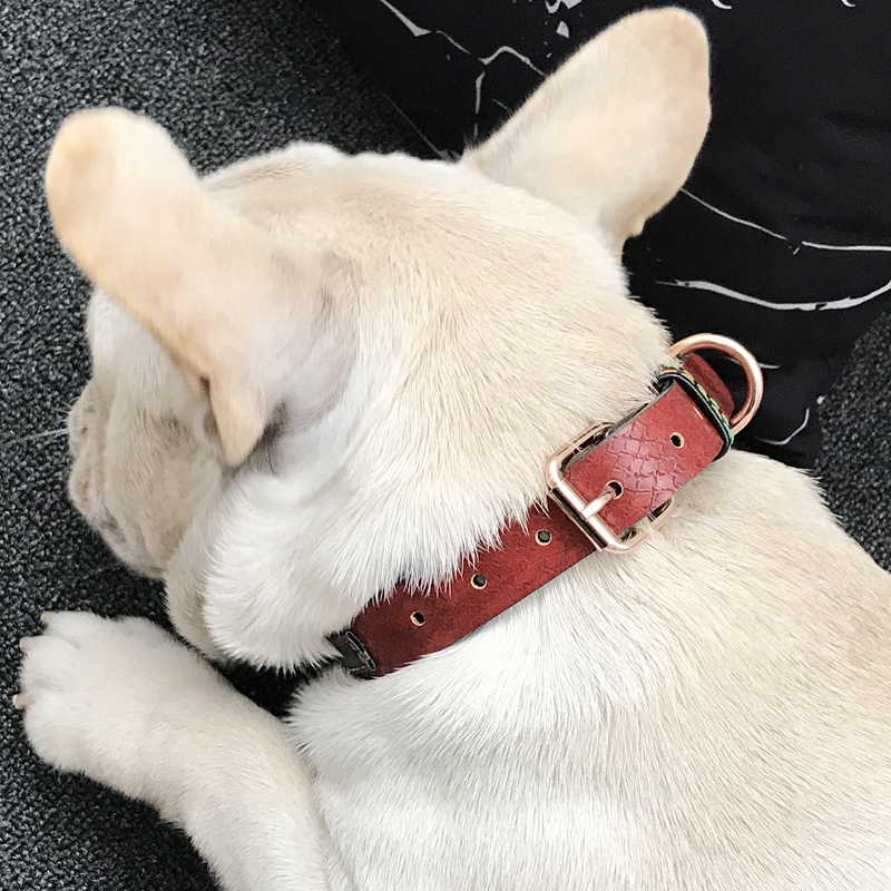 Pu Dog Collar Small And Medium Dog Labrador Collar Teddy Neck Collar Husky Alaskan Neck Collar Dog Head Collar Specification drawing