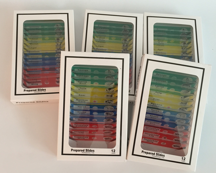 Customizable biological specimen cutting and microscope specimen slides for primary and secondary school students details Picture