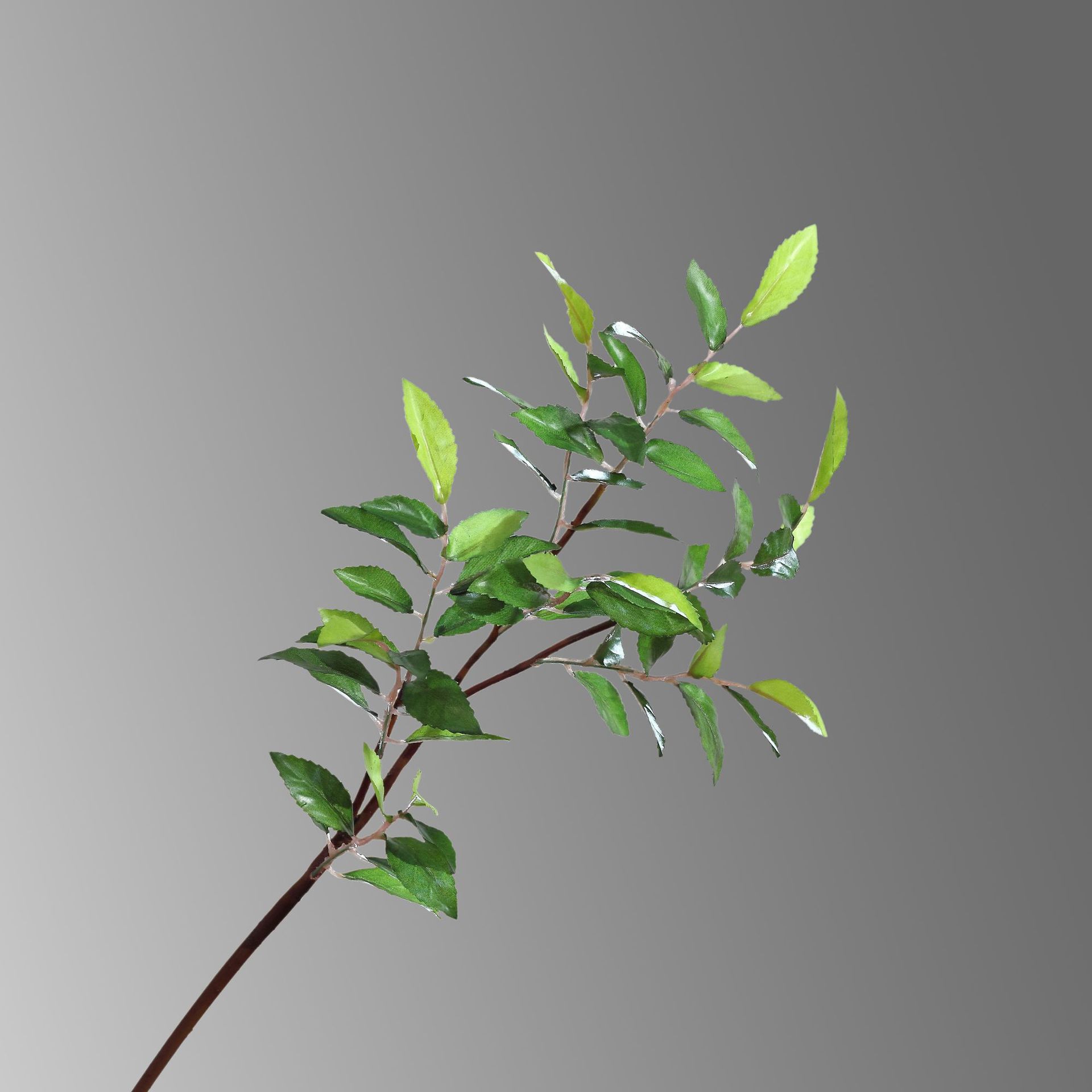 东篱厂家直销现货批发橄榄叶枝假叶子仿真树叶ins风室内装饰插花植物墙配材仿真绿植物