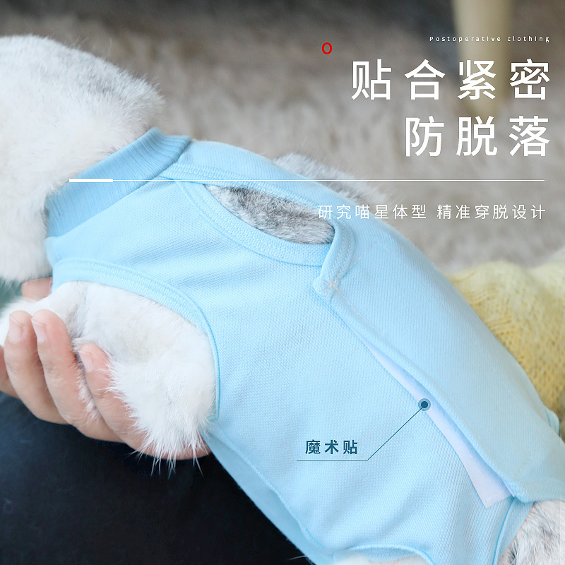 防舔猫绝育服/绝育服产品图