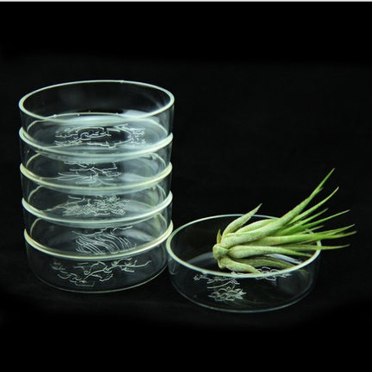 Acrylic exquisitely carved flower shrimp feeding basin (empty phoenix tray, small reptile feeding and drinking basin) details Picture