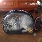 宠物包外出便携透明猫狗背包可折叠四面透气斜挎手提猫包厂家直销