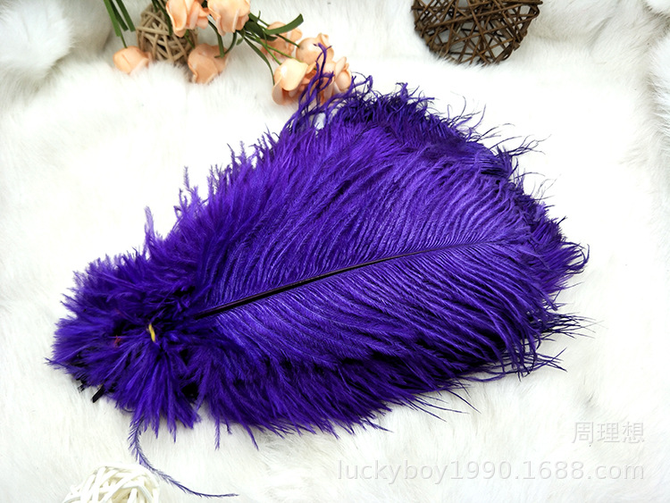 Colorful ostrich feathers 15-20cm, mask feathers, DIY accessories, wedding decoration props, ear-picking accessories, colorful feathers Application Scenario
