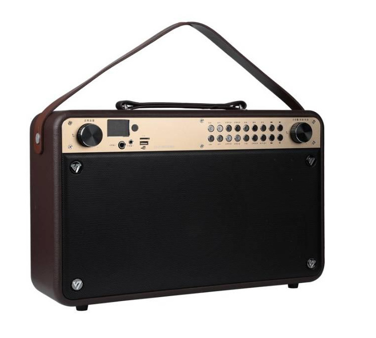 Voice actor Q9S mobile karaoke instrument outdoor speaker with wireless microphone, square dance portable speaker, super bass Item Picture