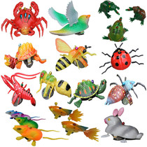 Hot sale pull string turtle pull string rabbit pull string lobster pull string bird bee beetle pull string animal toys