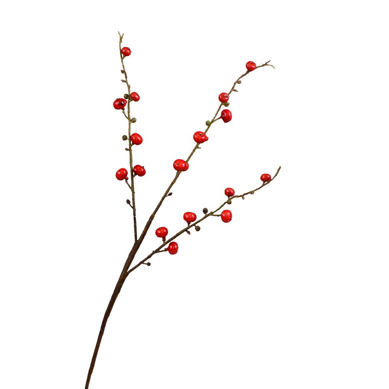 Artificial rosehip, artificial plant fruit, berry, American decorative floral arrangement materials, photography props Item Picture