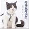 厂家直销宠物猫咪工字胸背日式猫咪牵引绳防脱胸背带图