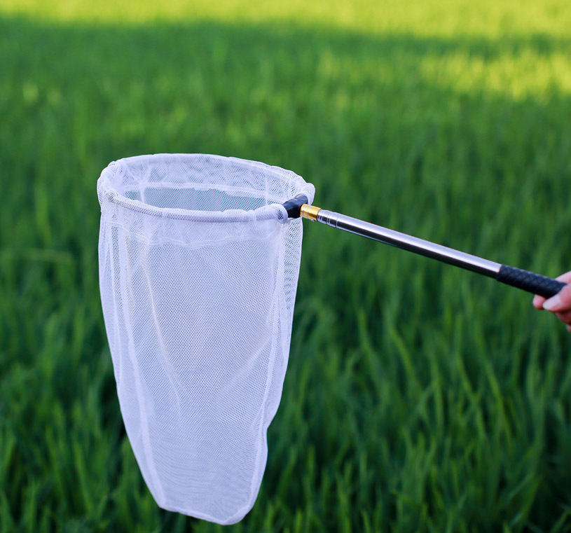 Stainless steel retractable insect net ultra short butterfly dragonfly insect net folding fish net tadpole shrimp fishing gear