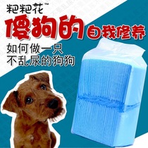 Dog physiological pants pet disposable pee pad Absorbent deodorant pet diaper Cat products Pet pee pad