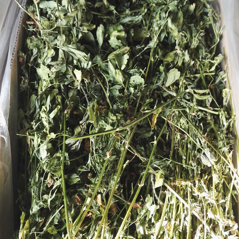 烘干苜蓿草/2023年紫/1kg/箱干细节图