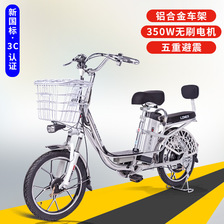 仅供出口电动车新国标电动自行车20寸成人代步电单车双人轻便电瓶车