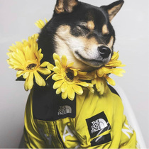 American Flag Tide Windproof North Dog Large dog Raincoat Dog pet hardshell jacket