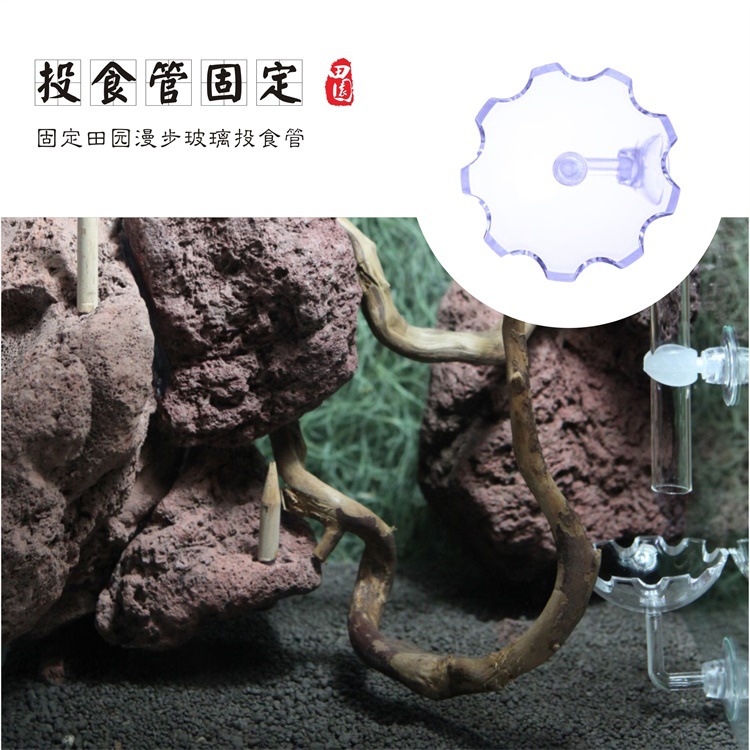 Fish tank aquariums with leaf-shaped water pipe clamp fixed filter barrel hose heating rod into the esophagus in and out of water Application Scenario