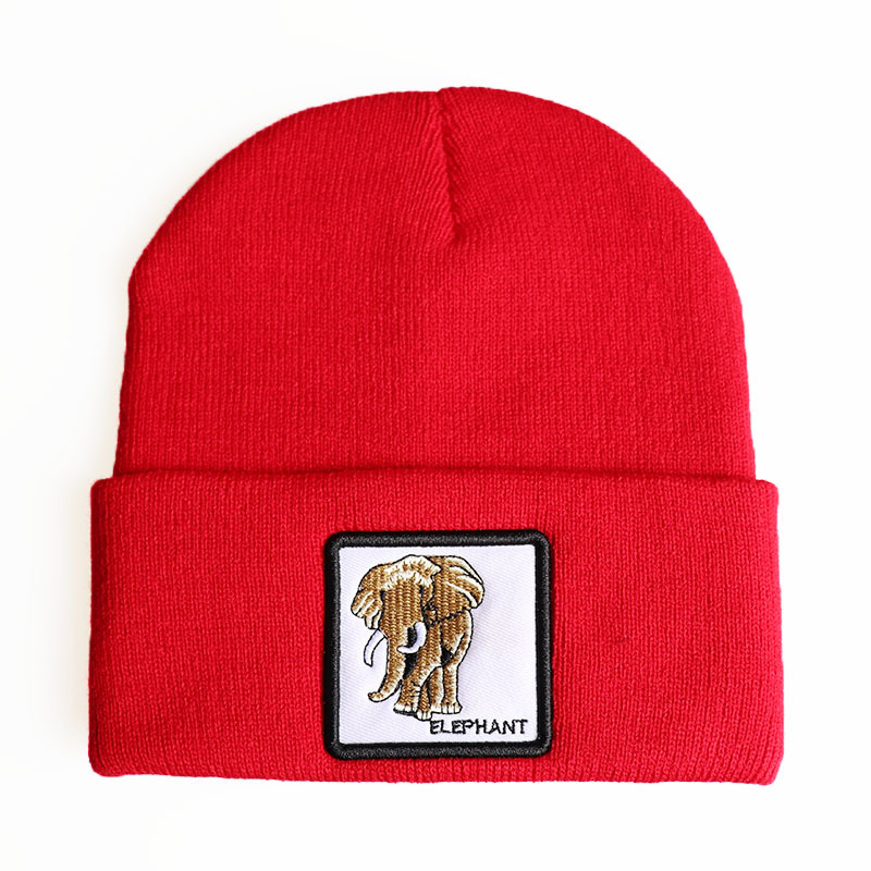 2021欧美/跨境针织帽/光板帽白底实物图