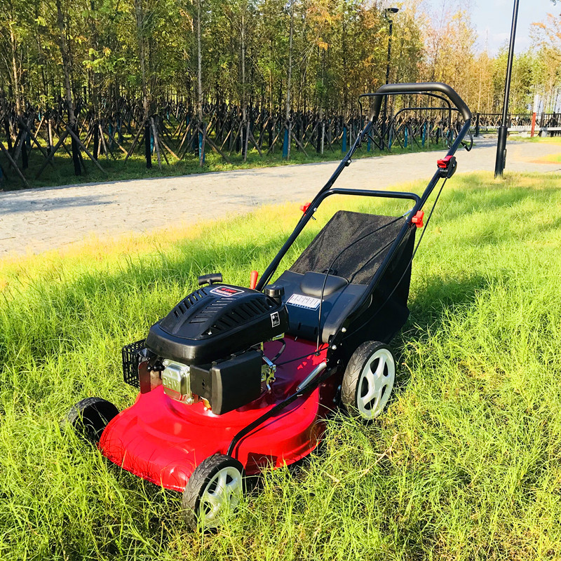 Gxv160 Power Lawn Mower Lawn Mower Four-Stroke Gasoline Self-Propelled Hand Push Mower Lawn Mower Lawn Mower details Picture