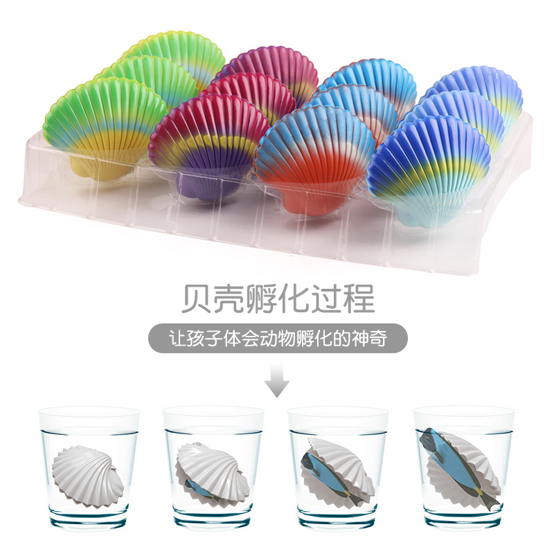 The swollen Mermaid series of scallops, which will hatch into mermaids when soaked in water, are large shell stall toys Specification image