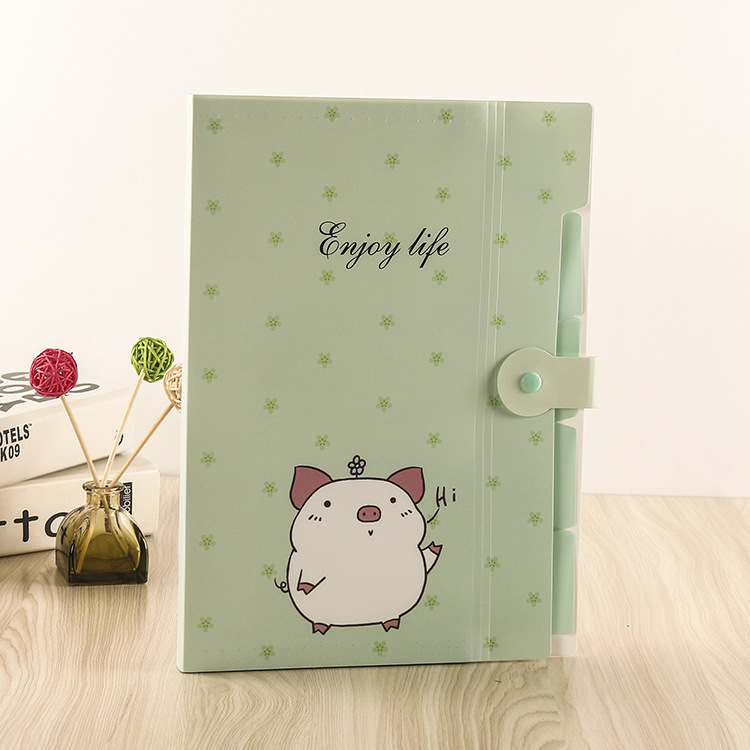 A fresh and cute Korean candy-colored folder, PP organ bag, file, materials and test paper storage folder Specification image