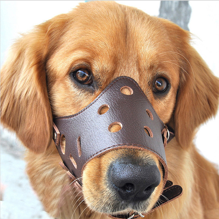 Pet products Amazon dog muzzle Breathable soft safe bite dog mask Dog muzzle Application Scenario