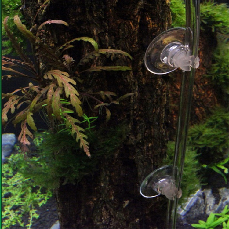 心形气管夹（固定细化器、玻璃，气管、温度计、探头等4组装）