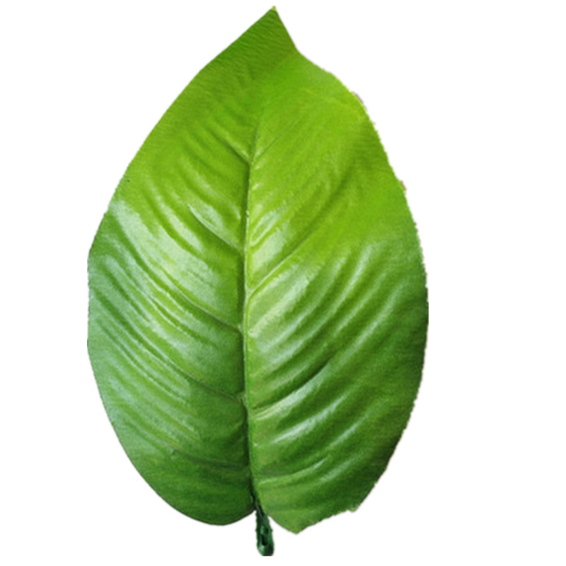 Silk silk stockings flower DIY handmade materials wholesale simulation flower leaves sunflower leaves sunflower leaves wholesale Application Scenario