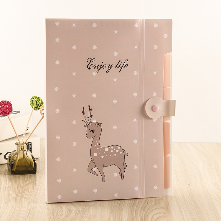 A fresh and cute Korean candy-colored folder, PP organ bag, file, materials and test paper storage folder Application Scenario
