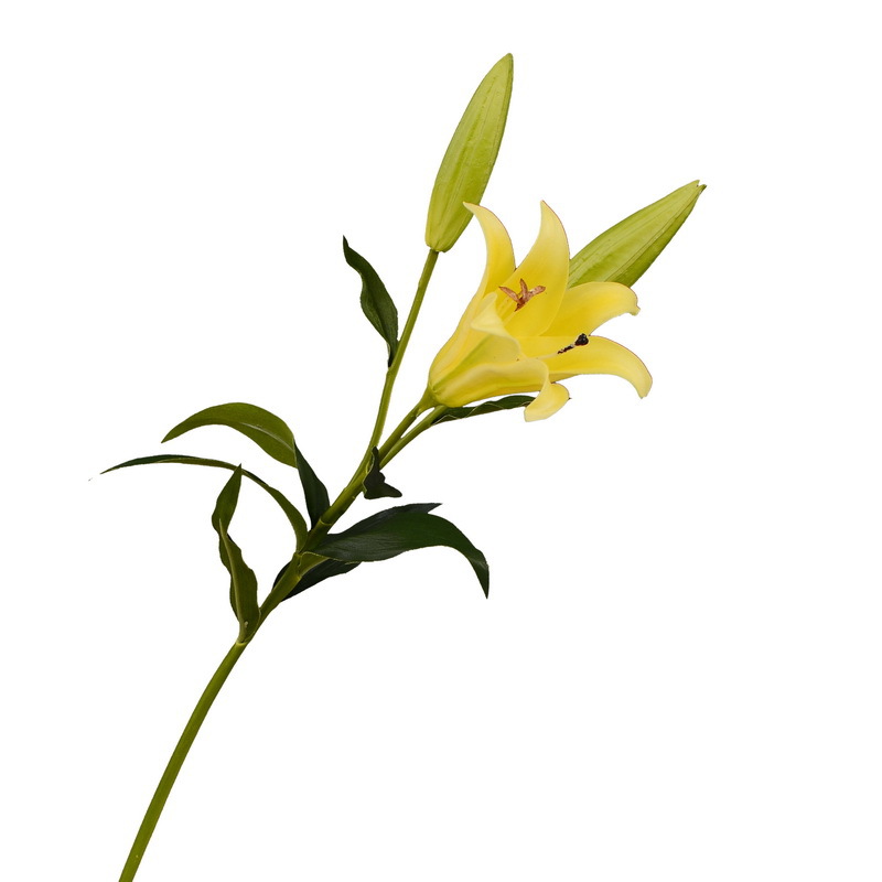 Dongli Flower Industry's artificial iron cannon lilies, PU artificial flowers wholesale, artificial flower decorations, living room dining table ornaments, flower arrangement ornaments, light luxury Item Picture