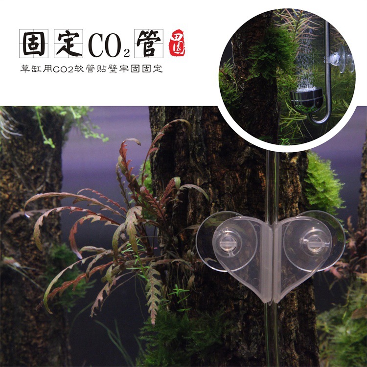 Heart-shaped partition clamp (for space isolation in fish tanks, it can also be used to fix oxygen pipes, wire isolation boards and other pipelines) Application Scenario