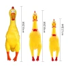 Amazon bestseller Pet supplies: Super Funny Screaming Chicken pet toy, Screaming Chicken dog toy in stock details Picture