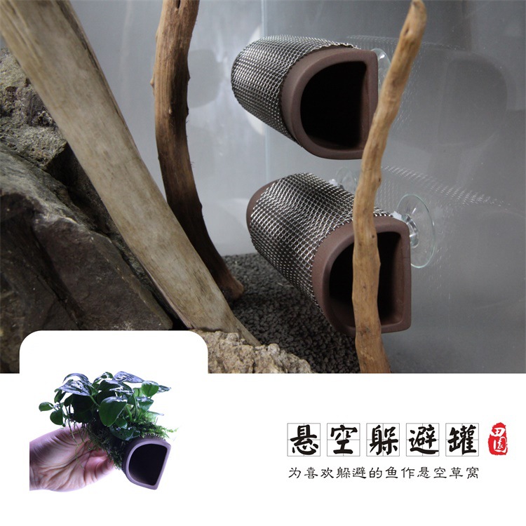 优质高透明扎带吸盘/进出水固定创意莫丝片莫斯墙制作/固定悬浮球产品图