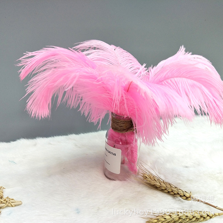 Wholesale 20-25 ostrich feathers, Indian headbands, decorative clothing accessories, vases, flower arrangements, colorful feathers
