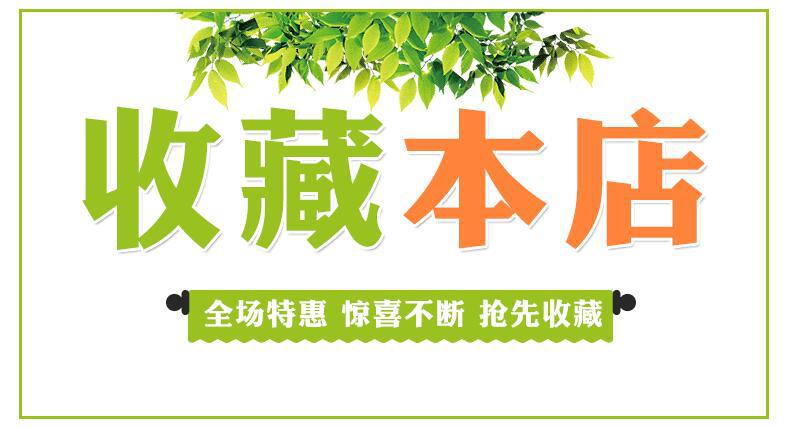 Factory direct supply X120-986000 dual-inverter head high-power 12V energy-saving intelligent battery voltage booster pic 12