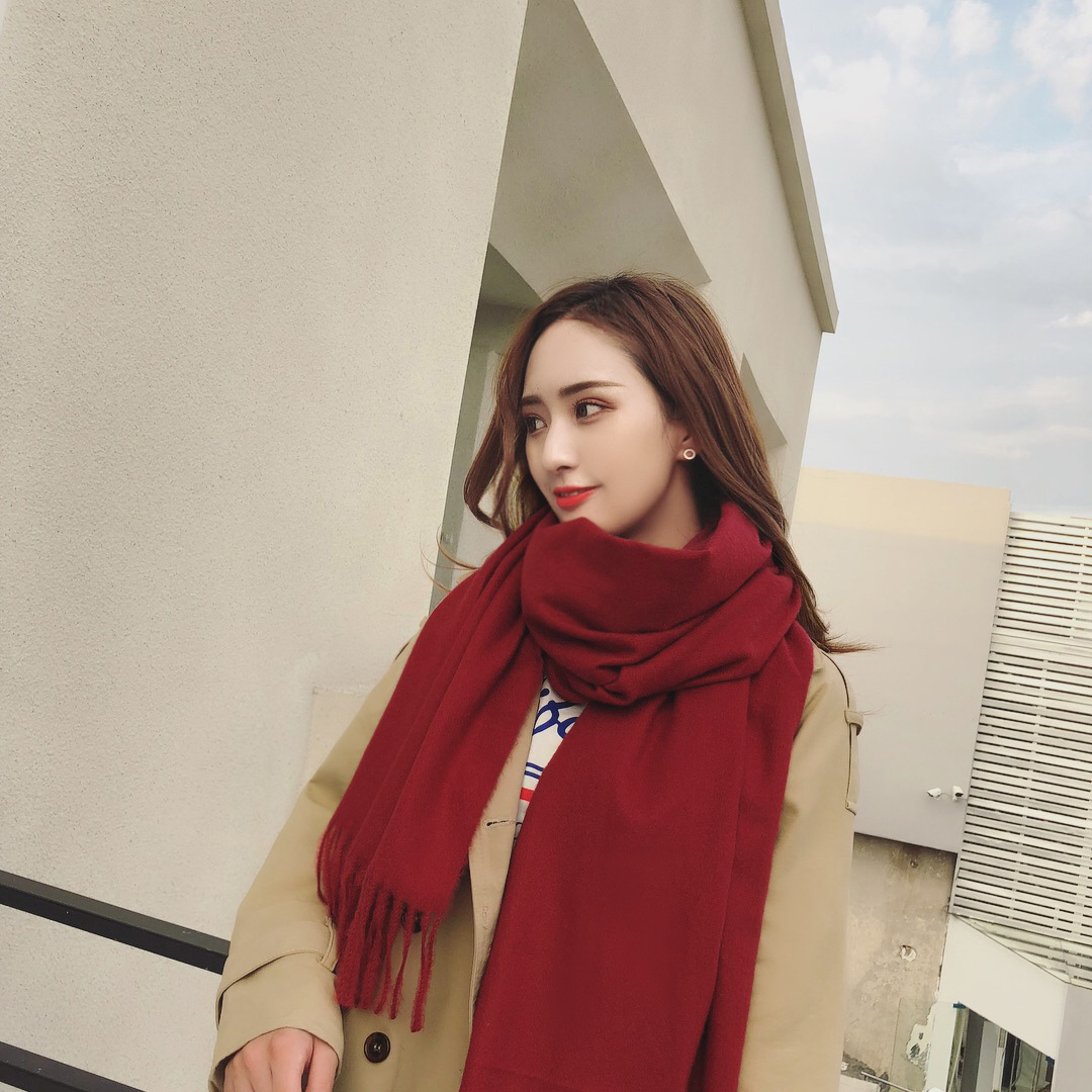 2022 Winter Cashmere Scarf For Women Solid Color Men's Thick Shawl Warm Bib Cashmere Scarf Wholesale Red Application Scenario