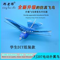 Electric ornithopter free flight imitation bird model aircraft STEM laboratory Luban bird