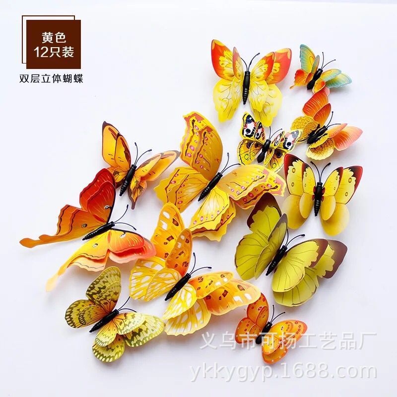 其他宠物周边用品实物图