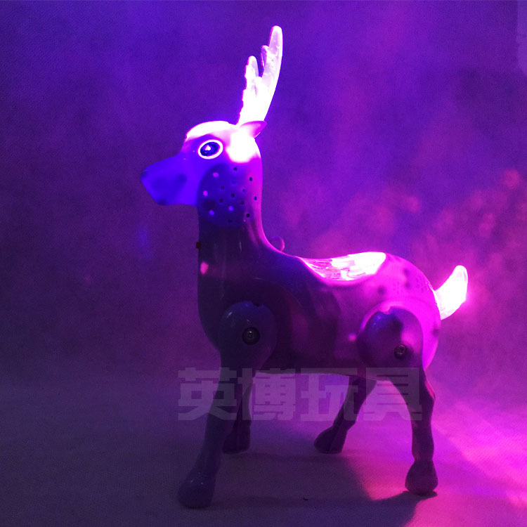 其他运动/休闲玩具实物图