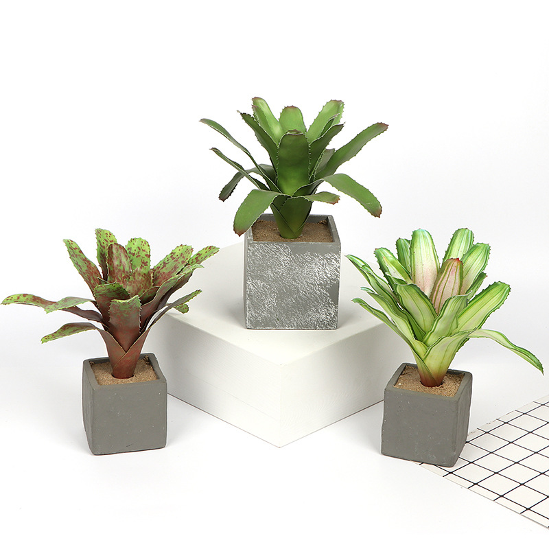 Nordic Wind Simulation Succulent Plant Furniture Decoration Balcony Potted Decoration Plant Dripping Bromeliad Factory Direct Sales