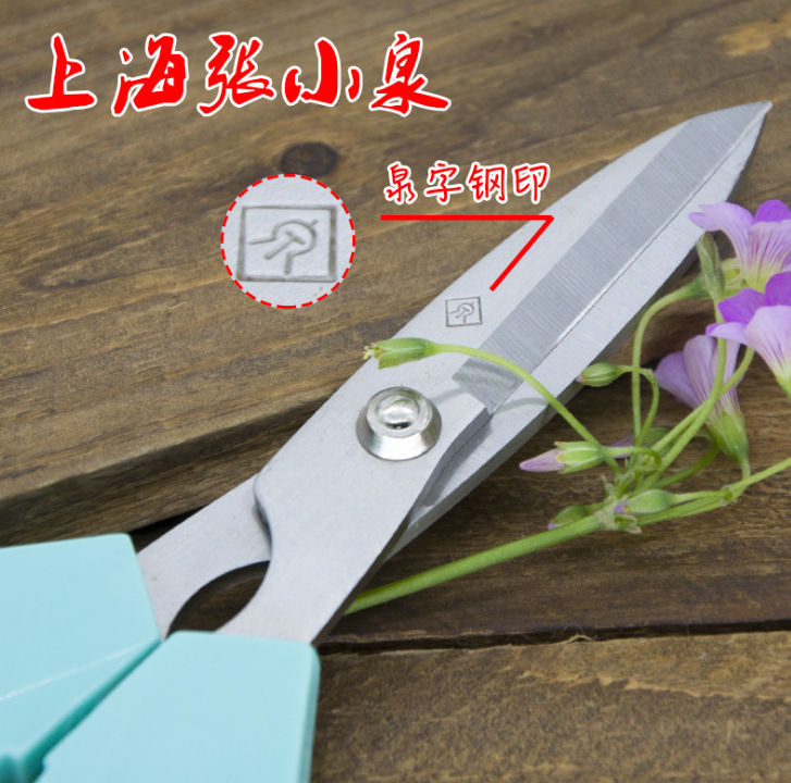 Authentic Shanghai Zhang Xiaoquan Qhbc-1B Home Flower Cutting Scissors Cut Ribbon Flower Shop Gardening Scissors Specification drawing