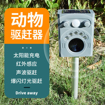 Inserted solar energy repeller animal repeller Bird repeller Cat repeller animal ultrasonic repeller