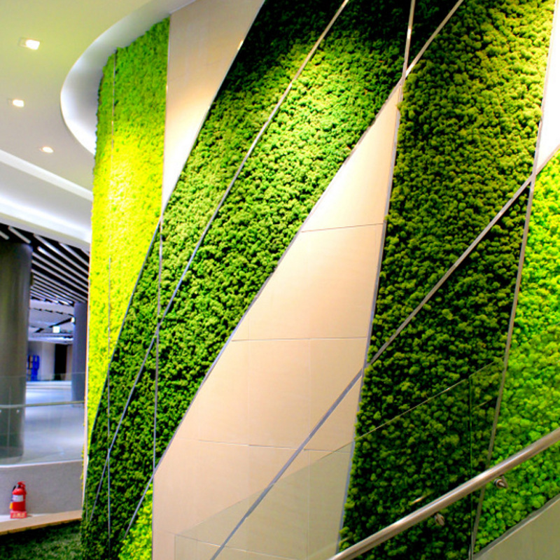 Nordic Style Antler Moss Color Immortal Moss Wall Handmade Diy Micro Landscape Decoration Material Moss details Picture